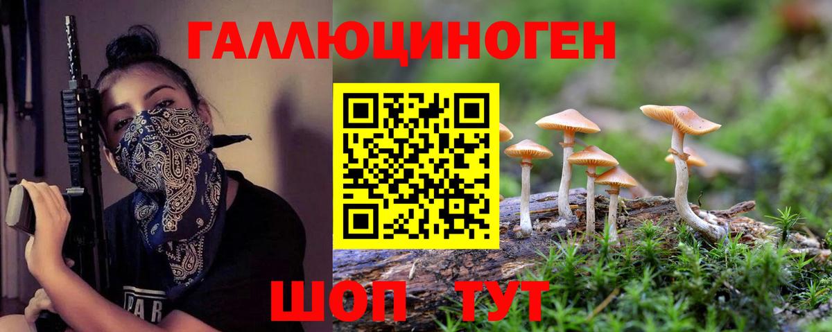 Нальчик  Псилоцибиновые грибы MAGIC MUSHROOMS  Вход с VPN 
