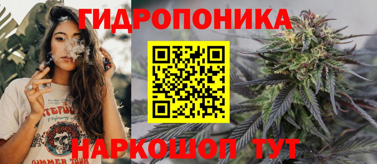 Бошки марихуана MAZAR Нальчик